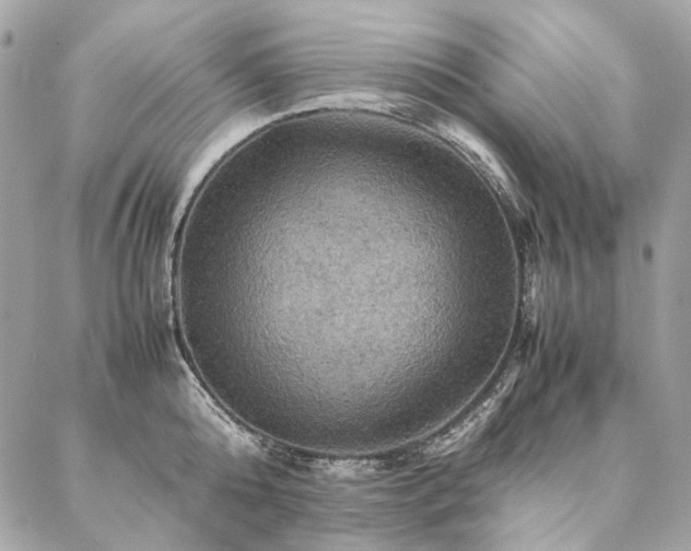 X0000086940808200704161427