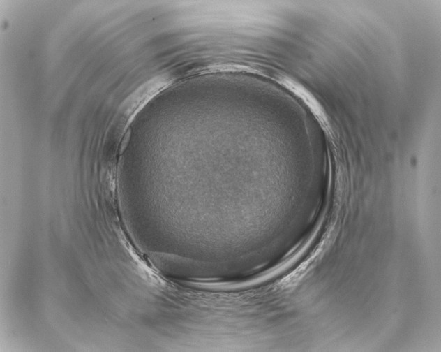 X0000086940809200704161427