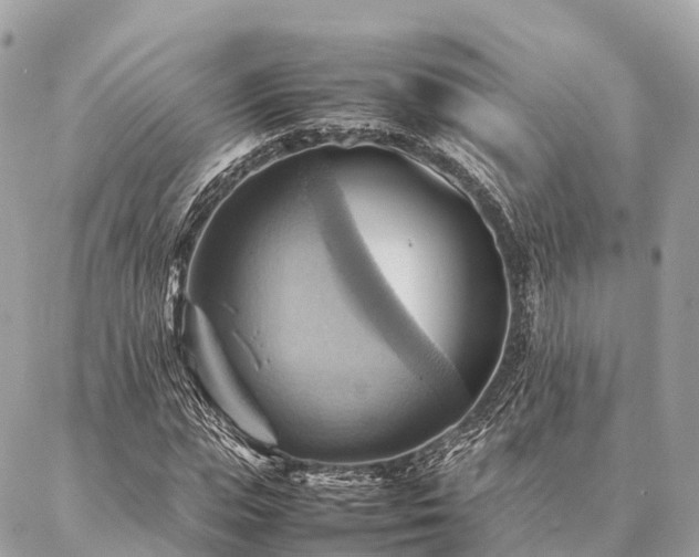 X0000086940823200704161426