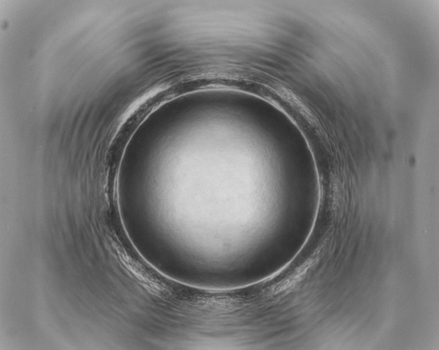 X0000086940830200704161426