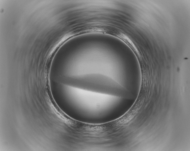 X0000086940851200704161427