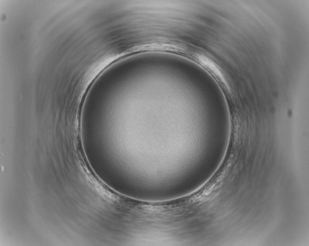 X0000086940852200704161427