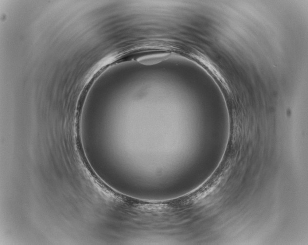 X0000086940853200704161427