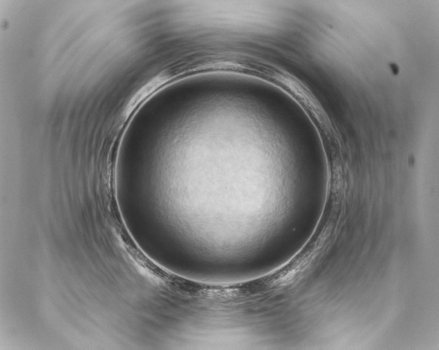 X0000086940858200704161427