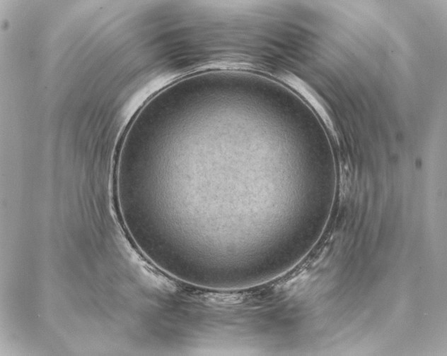 X0000086940861200704161427