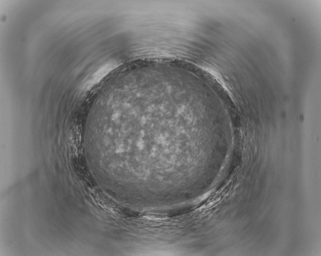 X0000086940871200704161426