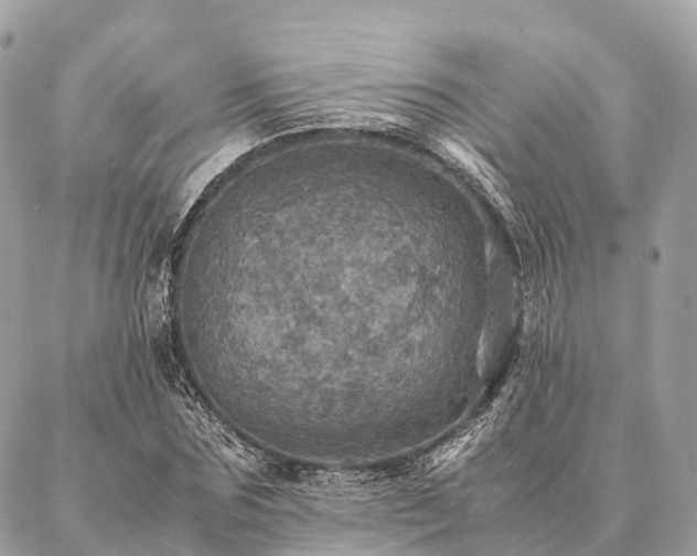 X0000086940875200704161426