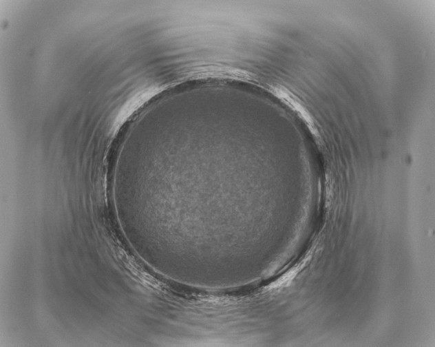 X0000086940877200704161426