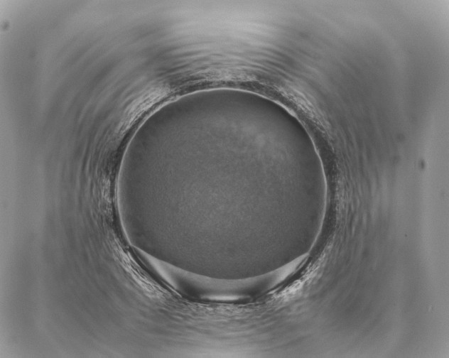X0000086940881200704161426
