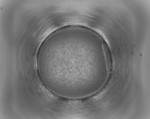 X0000086940887200704161426