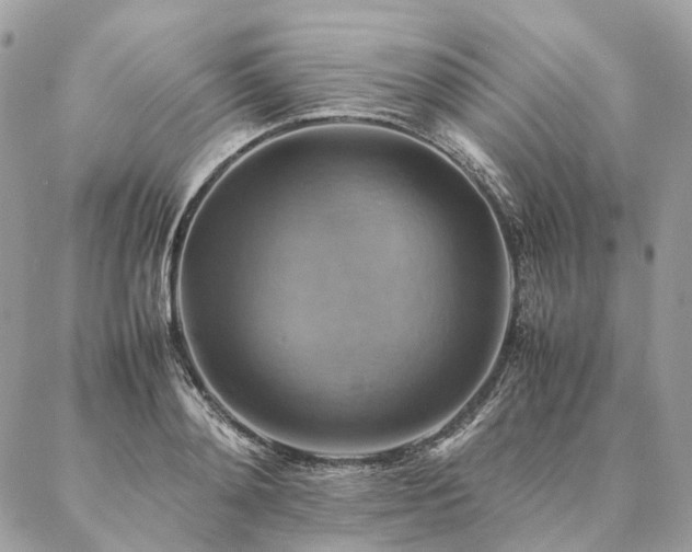X0000086940892200704161426