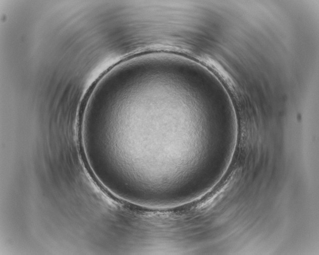 X0000086940902200704161426