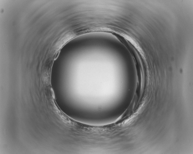 X0000086940905200704161426