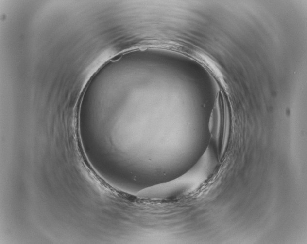X0000086940907200704161426