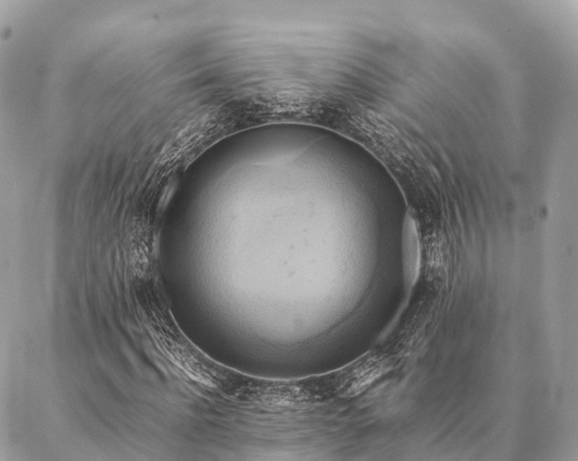X0000086940916200704161425
