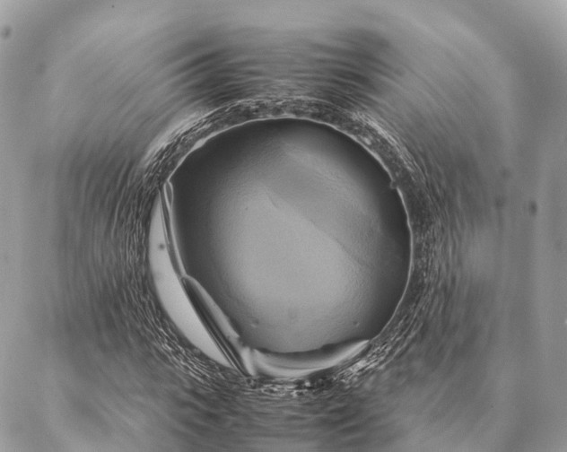 X0000086940919200704161425