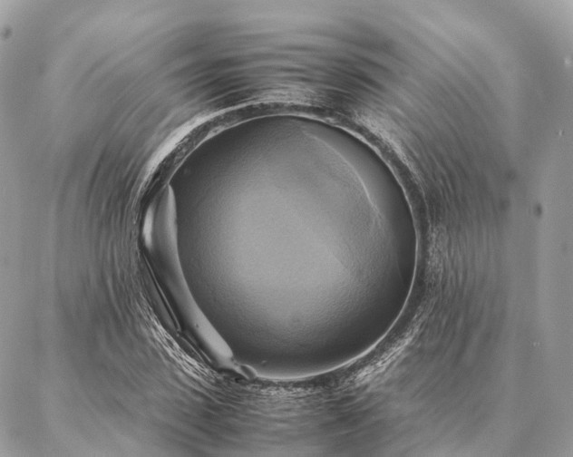 X0000086940923200704161425