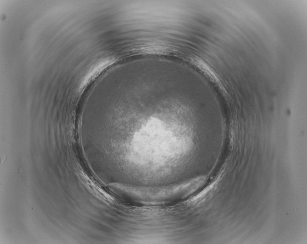X0000086940930200704161425