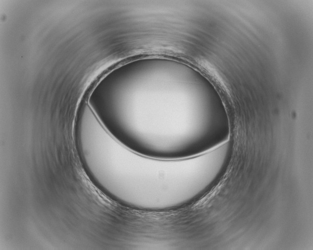 X0000086940932200704161425