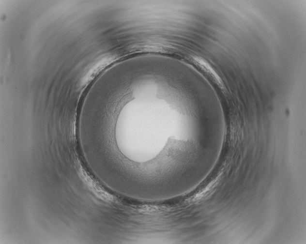 X0000086940938200704161425
