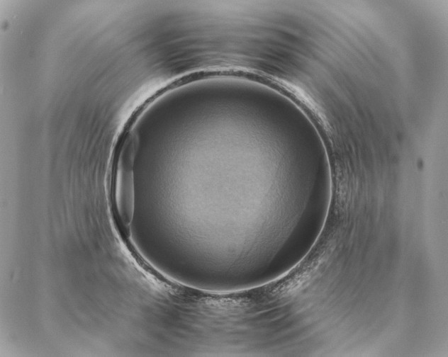 X0000086940943200704161425