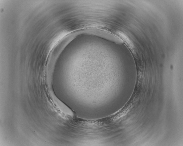 X0000086940948200704161425