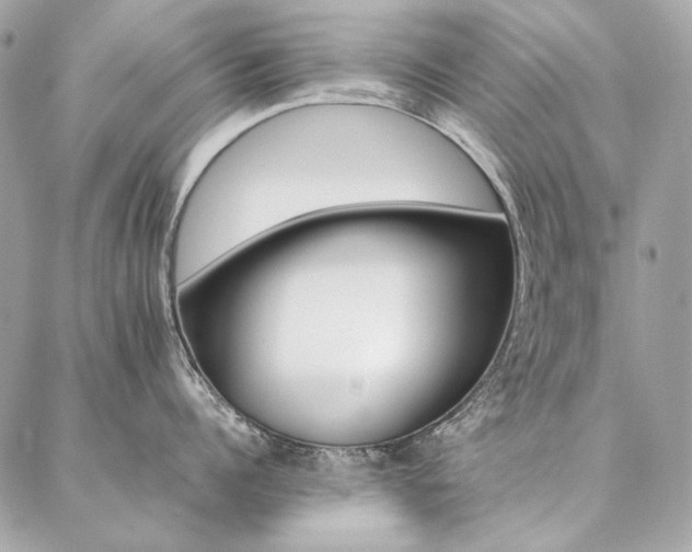 X0000086940960200704161425