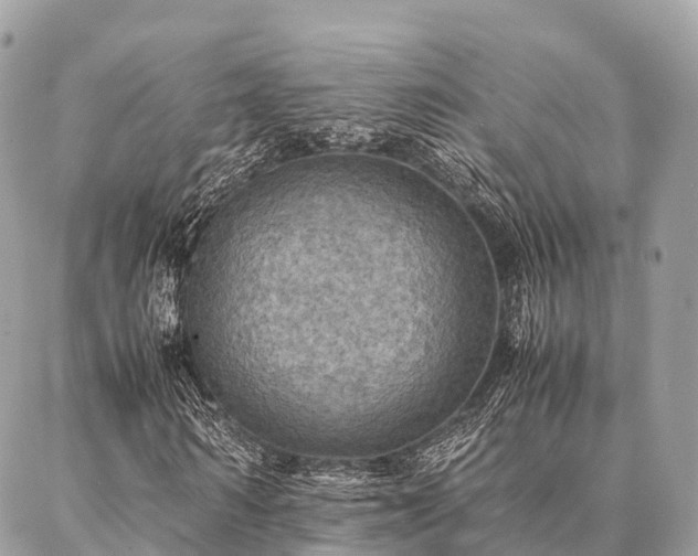 X0000086940962200704161425