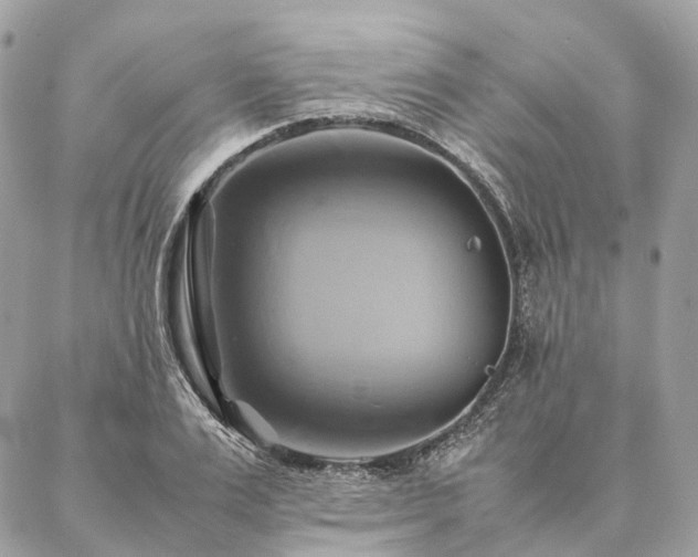 X0000086940983200704161424