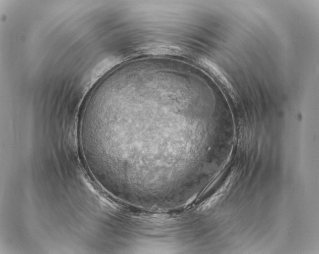 X0000086940986200704161424