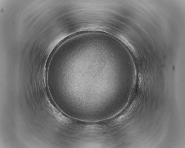 X0000086940988200704161424