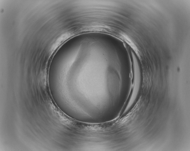 X0000086940994200704161424