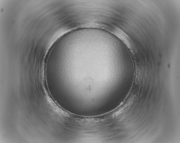 X0000086941000200704161424