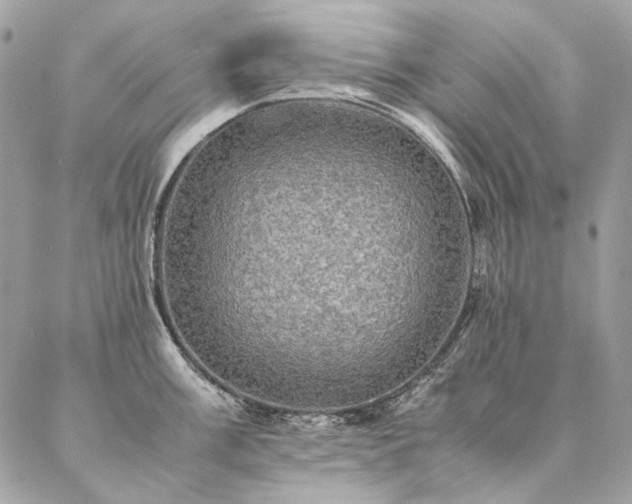 X0000086941003200704161424