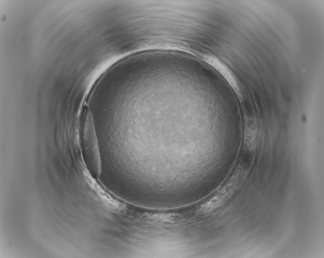 X0000086941004200704161424