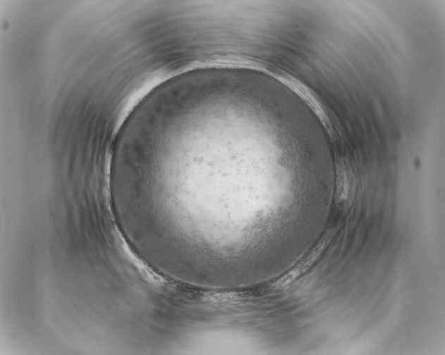 X0000086941006200704161424