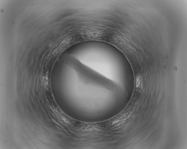 X0000086941011200704161423