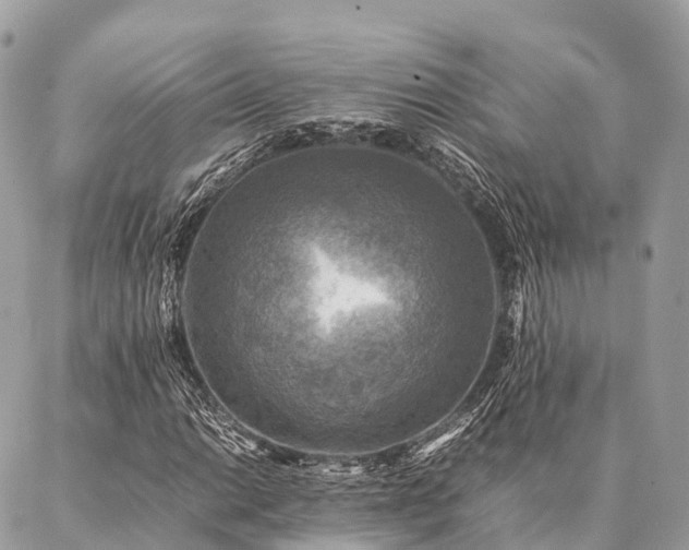X0000086941014200704161423