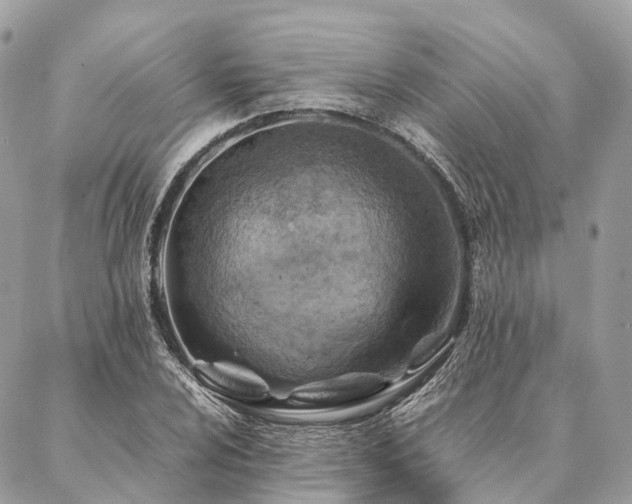 X0000086941024200704161423