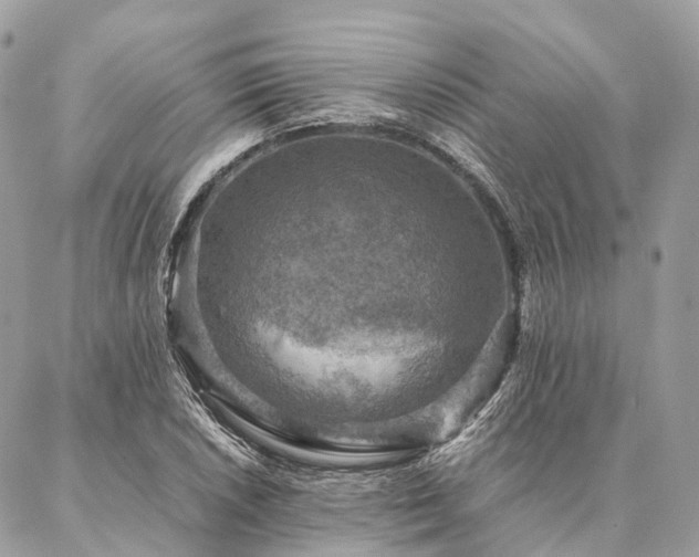 X0000086941026200704161423