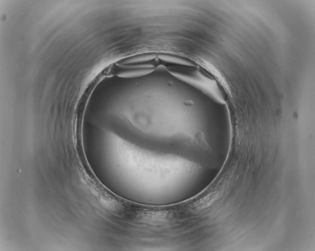 X0000086941035200704161424