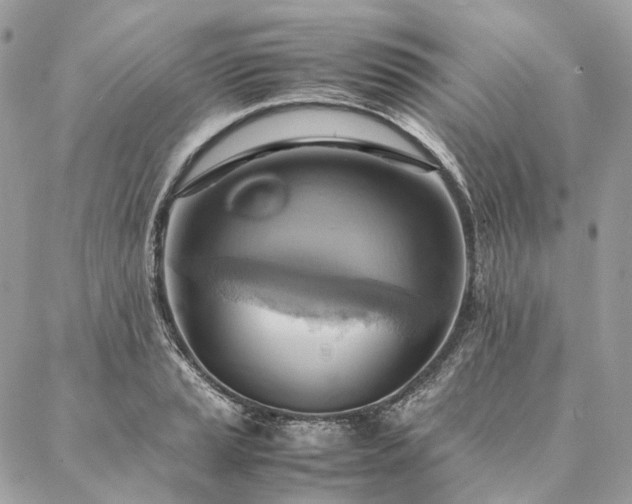 X0000086941037200704161424