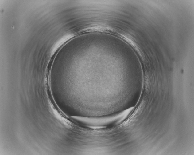 X0000086941042200704161424