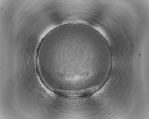 X0000086941046200704161424