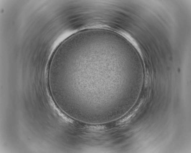 X0000086941053200704161424