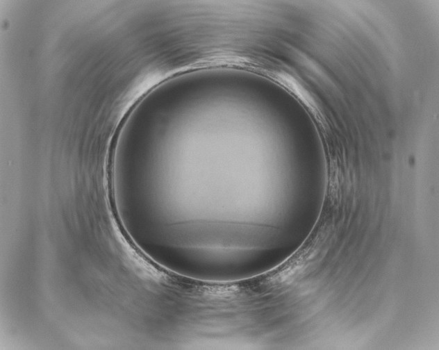 X0000086941055200704161424