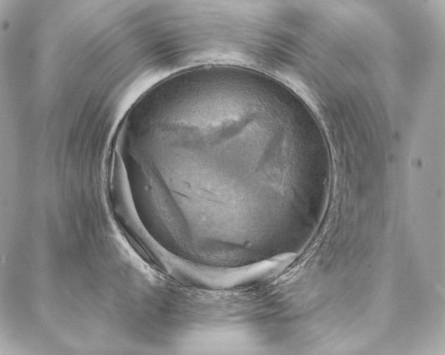 X0000086941056200704161424