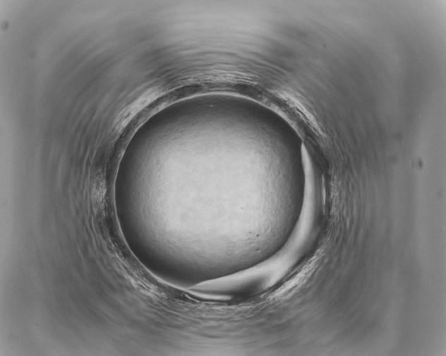 X0000086941065200704161423