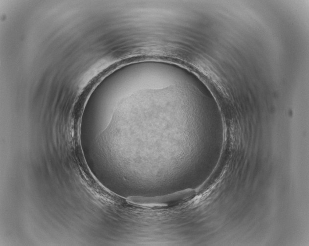 X0000086941070200704161423