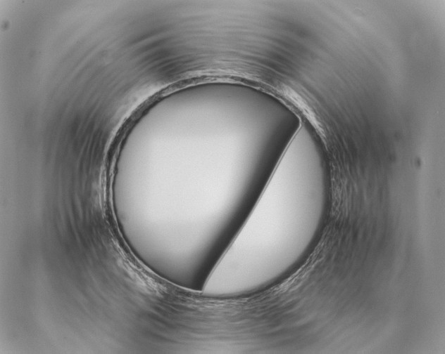 X0000086941076200704161423